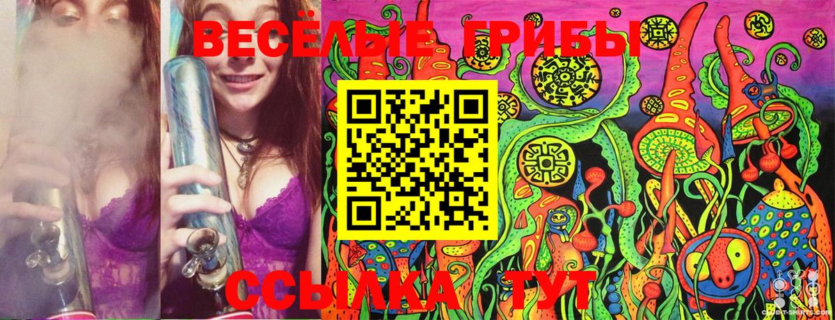 Галлюциногенные грибы MAGIC MUSHROOMS  Вход с VPN  Тула  Псилоцибиновые грибы прущие грибы 